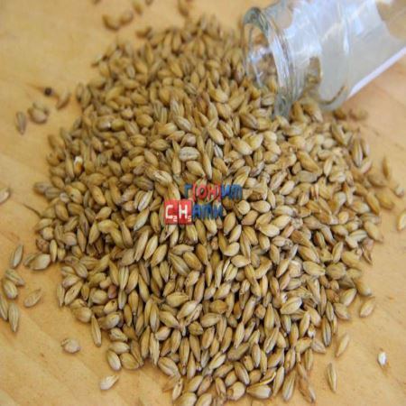 Солод ячменный пивоваренный неподжаренный Pilsner malt 1кг, Viking Malt OY Финляндия (Лучшая цена)