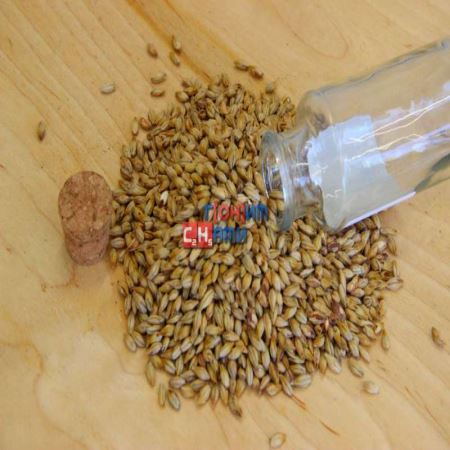 Солод ячменный пивоваренный неподжаренный Red Ale 1кг, Viking Malt OY Финляндия (Лучшая цена)