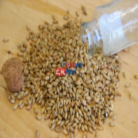 Солод ячменный пивоваренный неподжаренный Munich 1кг, Viking Malt OY Финляндия (Лучшая цена)
