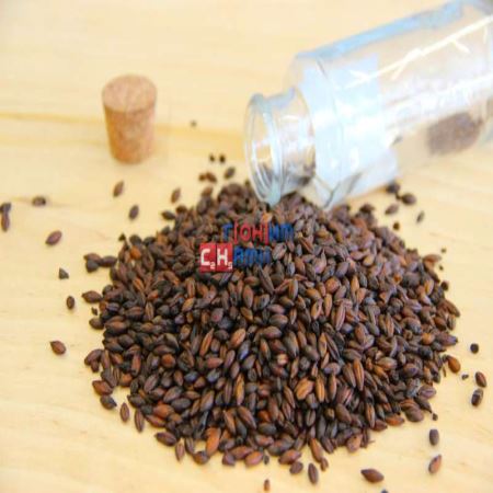 Солод ячменный пивоваренный поджаренный Black Malt 1кг, Viking Malt OY Финляндия (Лучшая цена)