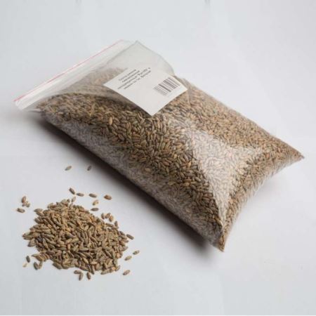 Солод ржаной пивоваренный неподжаренный Rye MD 1кг, (DINGEMANS, Бельгия) (Лучшая цена)